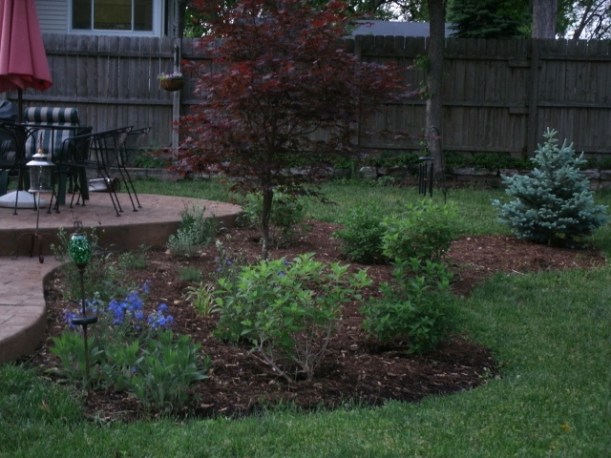 The bed is doing beautifully. This photo was taken last summer,  the second season the garden was in place. I continue to add to it each year.
