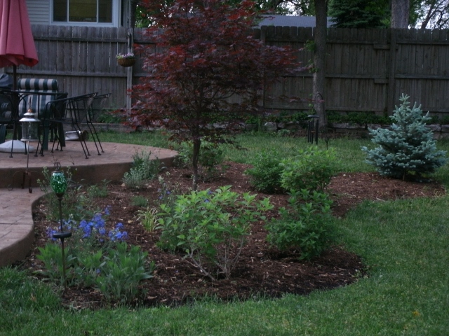 The bed is doing beautifully. This photo was taken last summer,  the second season the garden was in place. I continue to add to it each year.