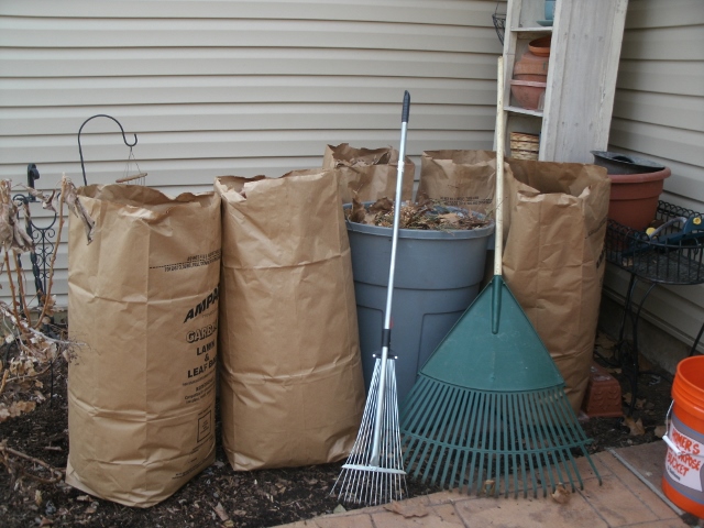 A Good Day in the Garden