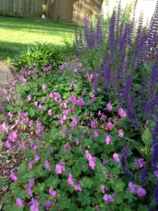 What a lovely combination of color. Hot pink roses, not shown here, dial up the intensity.