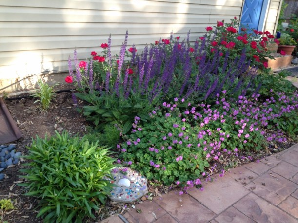 den bed in May  (1024x768)