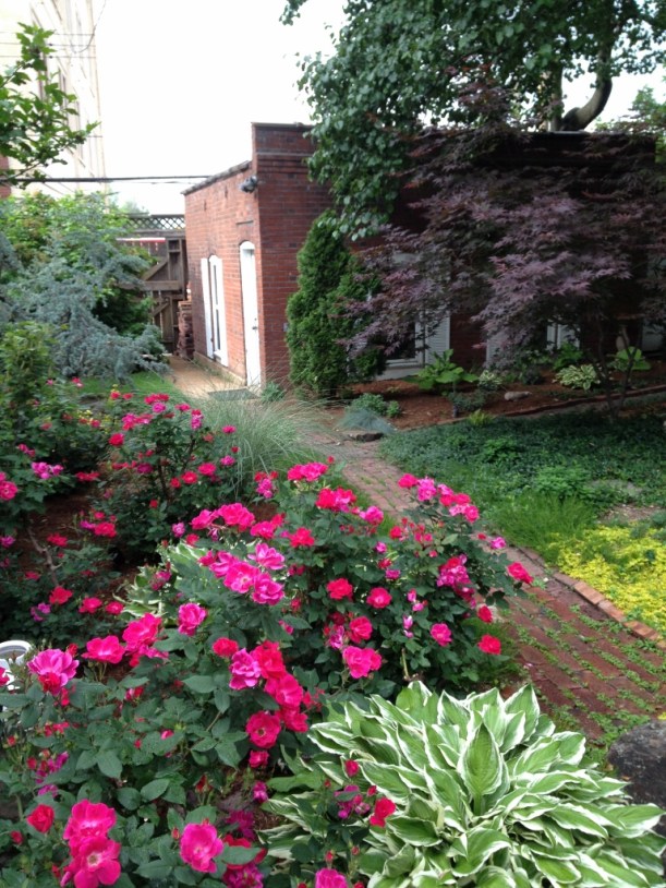 Looking back toward the garage.