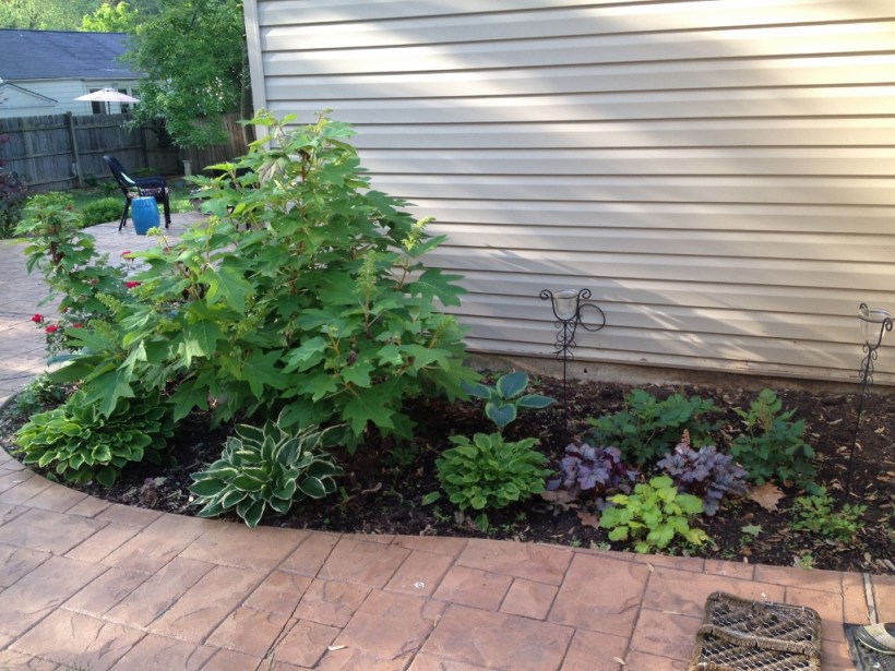 The "after" look includes plantings of hosta, heuchera, astilbe and ferns.