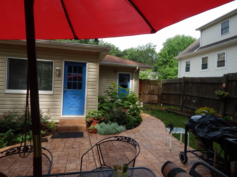 My thought in planting the oakleaf hydrangea (in the back of photo) was to create a screen to hide the potting shelves and trash cans.