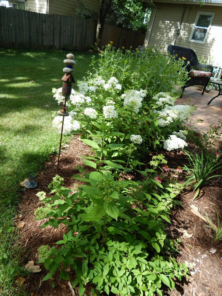 Happy summer hydrangea. Little Lamb and Little Lime wind throughout the bed.