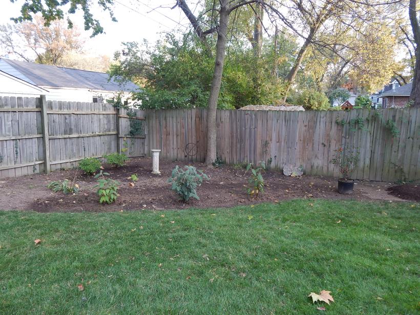 Before Corner bed with Viburnum