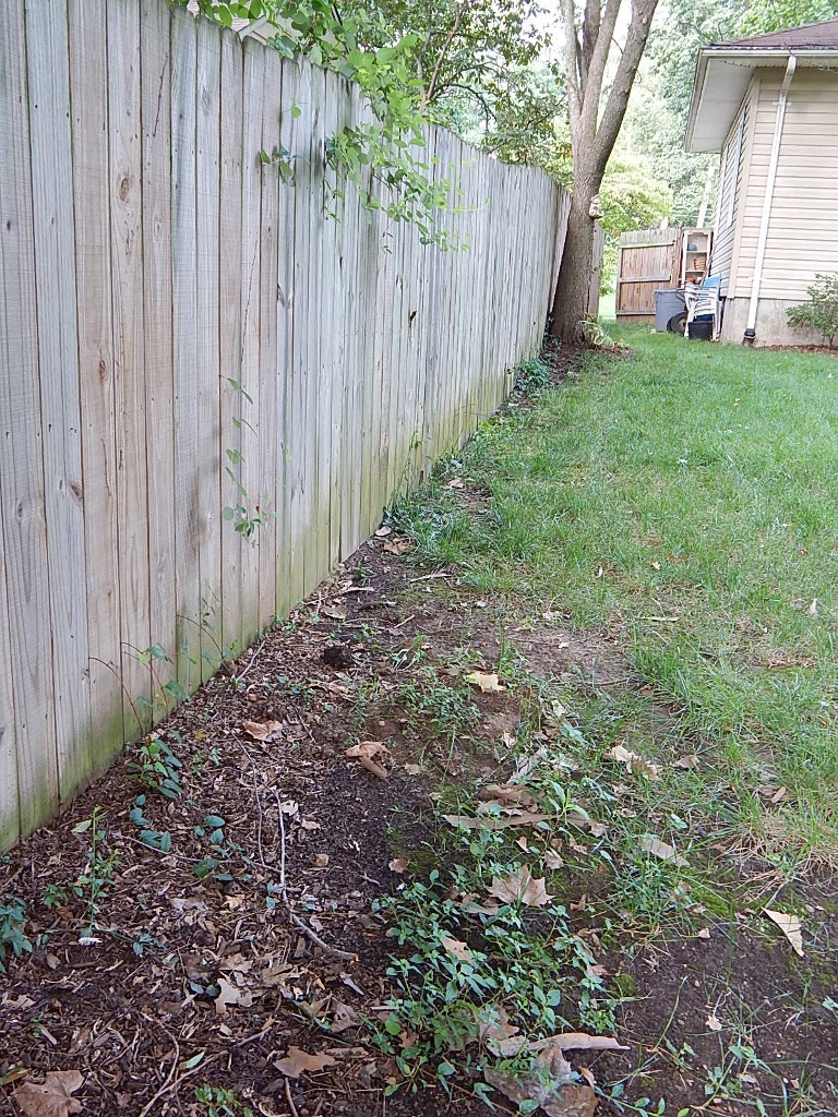 The "before" glamour shot of the South Bed. At the bottom edge of the photo is where water pools after hard rains.