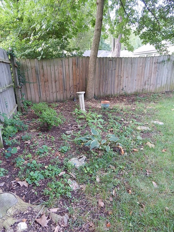 Oh so weedy, oh so neglected! I gave up the fight in the summer of 2014 only to resume the battle to make something of this difficult space.