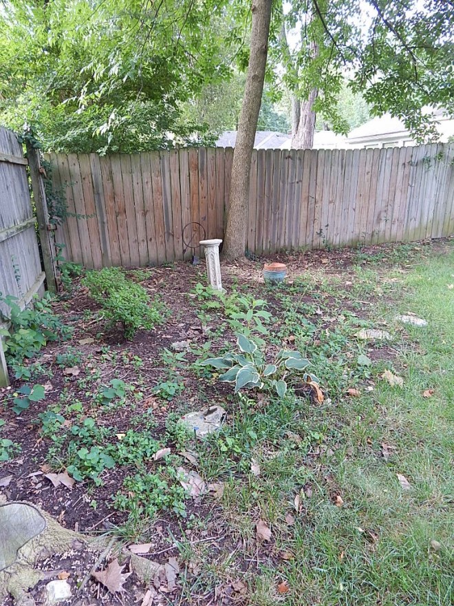 Oh so weedy, oh so neglected! I gave up the fight in the summer of 2014 only to resume the battle to make something of this difficult space.