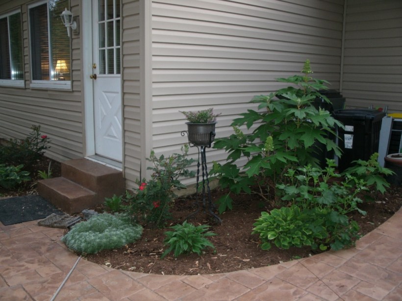 Second year creeping.