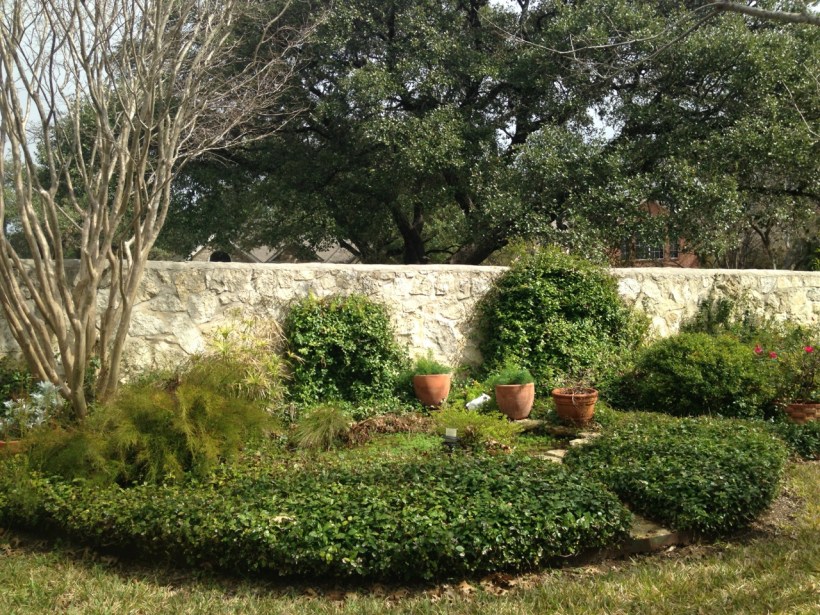 A crape myrtle is to the left of the pond, which is densely planted with sun loving natives. 