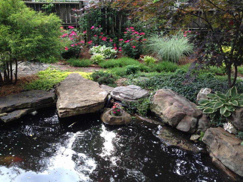 Urban Oasis 2 (1280x960)