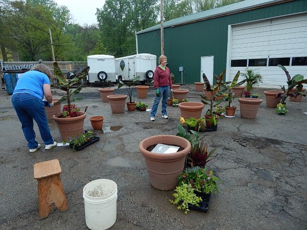The container staging area at Glendale Public Works was filled with containers, flats of various plants and lots of local volunteers including our State District Representative  Deb Lavender. 