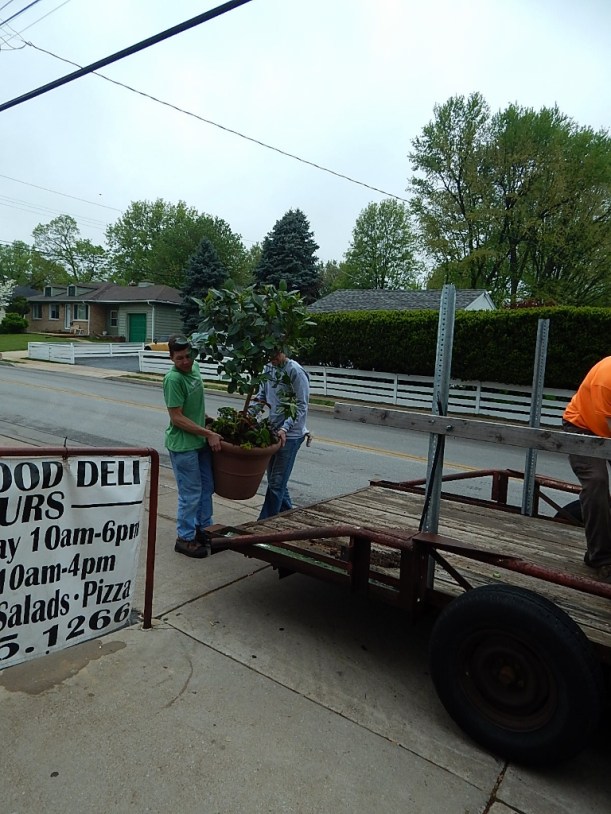 Now this is heavy lifting. Containers were delivered to their new homes throughout the city.