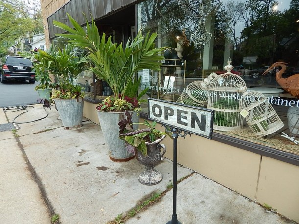 Businesses provided the containers, Grow Glendale Gorgeous provided the plants.