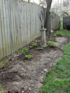 The long view of the bed, looking toward the top of the bed.