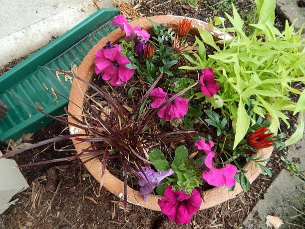 2015 garage pot (1024x768)