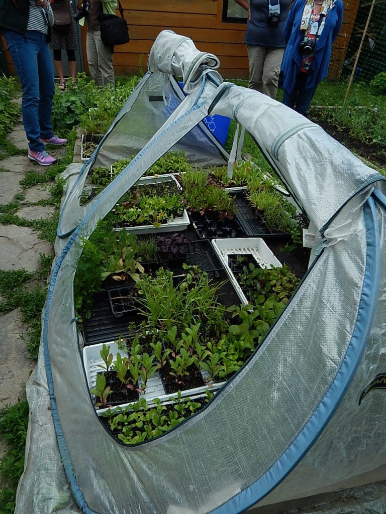 DSCN1998 (960x1280) (960x1280)