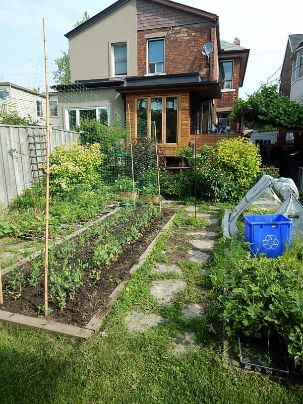 Sarah's backyard, which she estimates to be 1/16 of an acre.