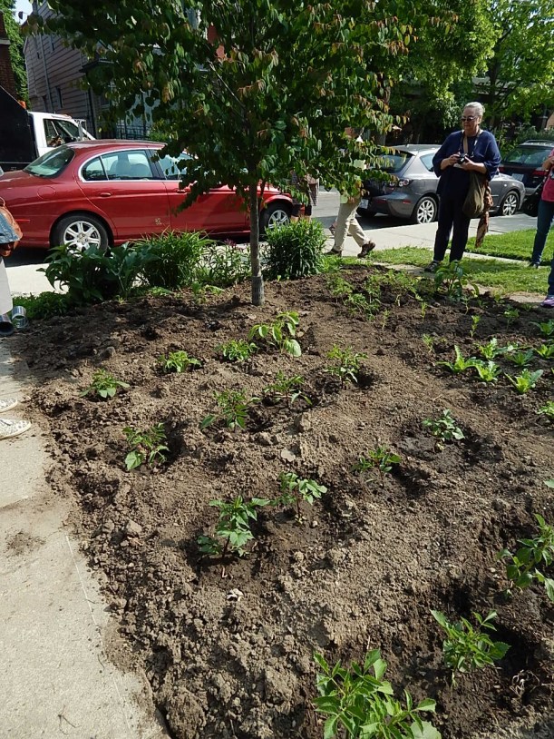 A neighborhood city lot turned into a flower garden. 