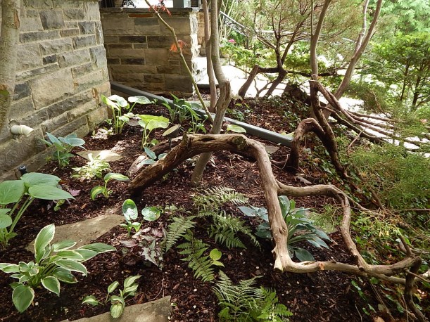 DSCN2104 (1280x960) (1280x960)