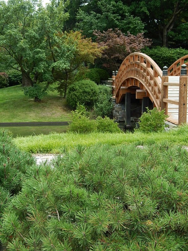 Japanese Garden bridge