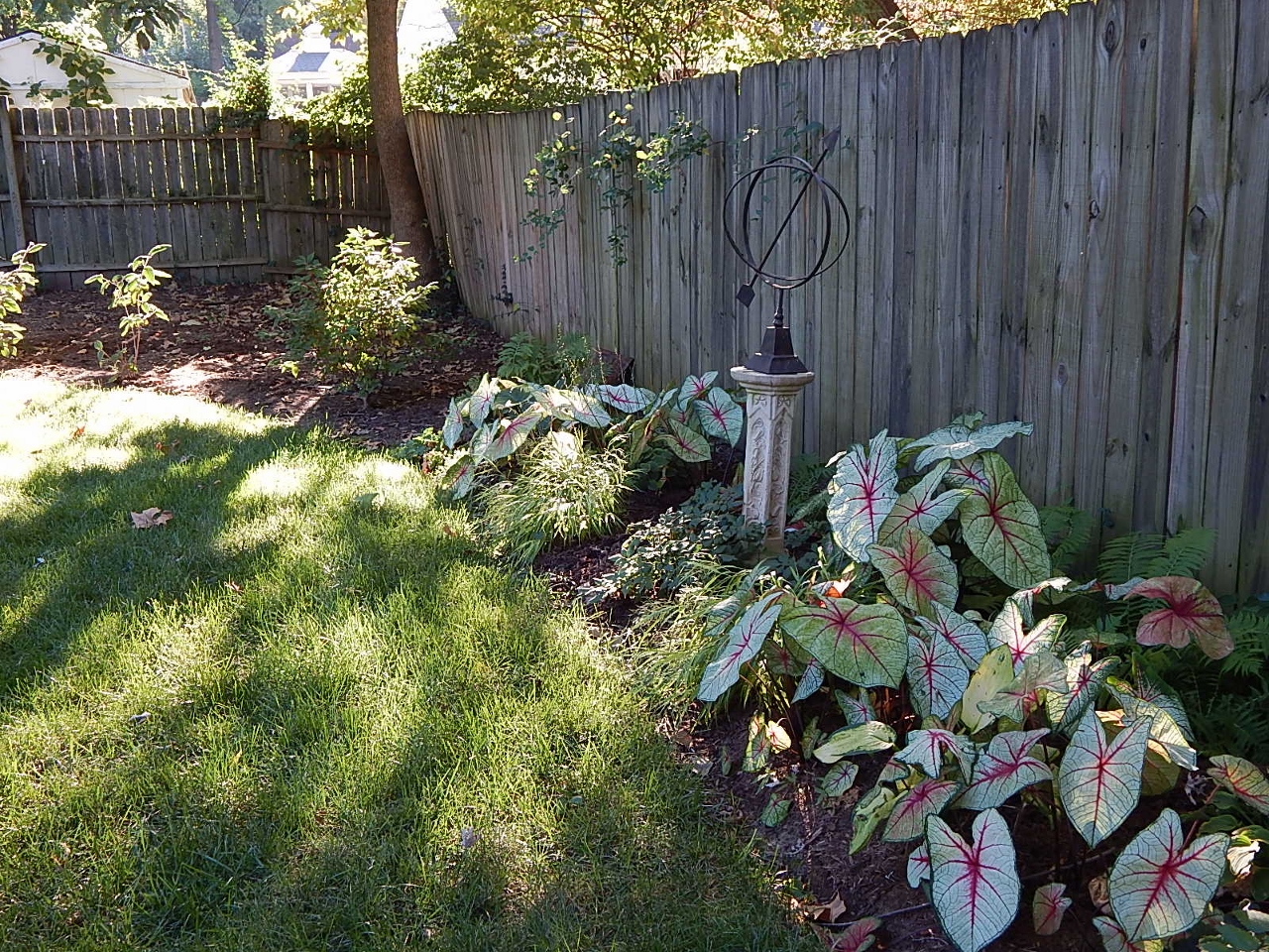 September south garden