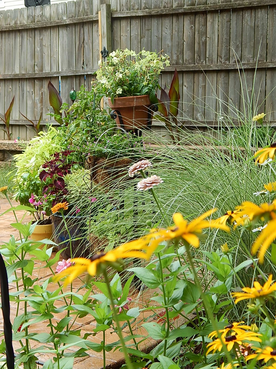 patio containers by perennial bed