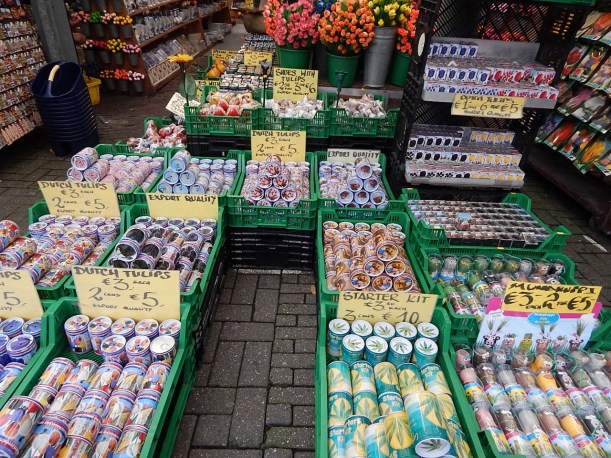 Bulb starter kits (1280x960)