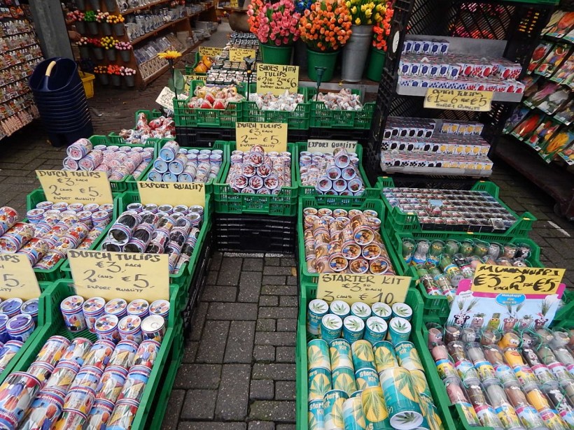 Bulb starter kits (1280x960)