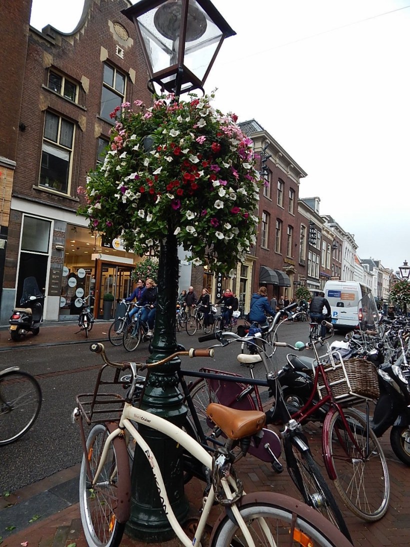 flowers and bikes (960x1280)