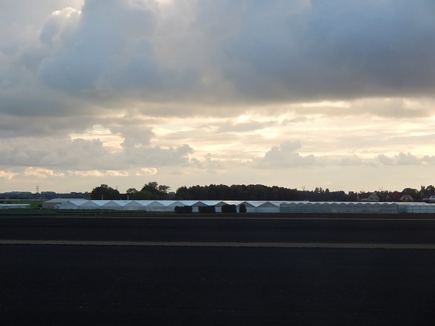greenhouses Netherlands (1280x960)