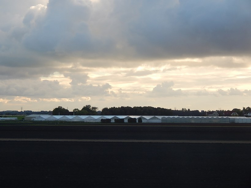 greenhouses Netherlands (1280x960)