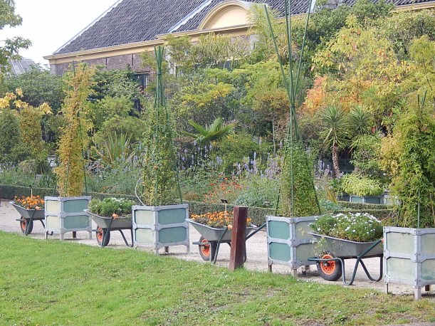 Hortus display (1280x960)