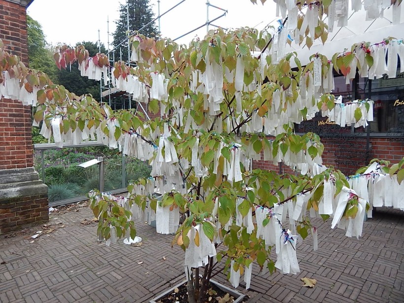 Peace Tree (1280x960)