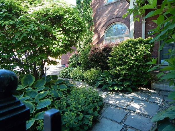 Cabbagetown Lush (1280x960)