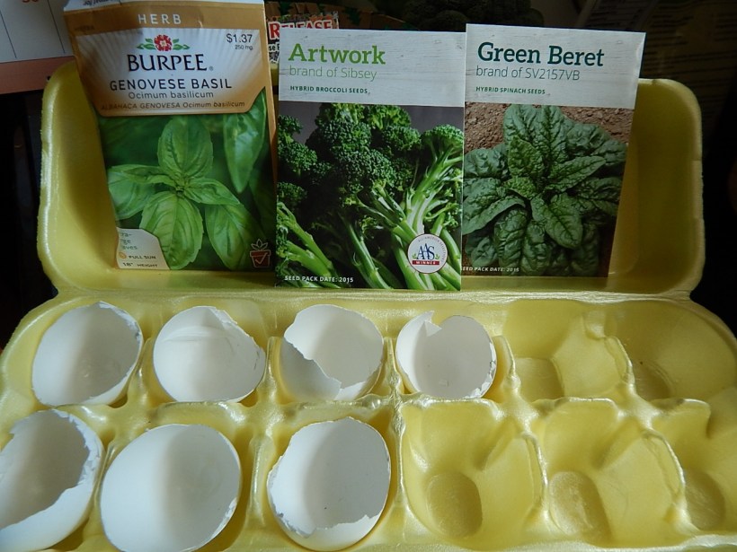 Egg carton garden 3 (1280x960)