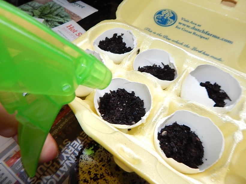 egg carton garden 4 (1280x960)