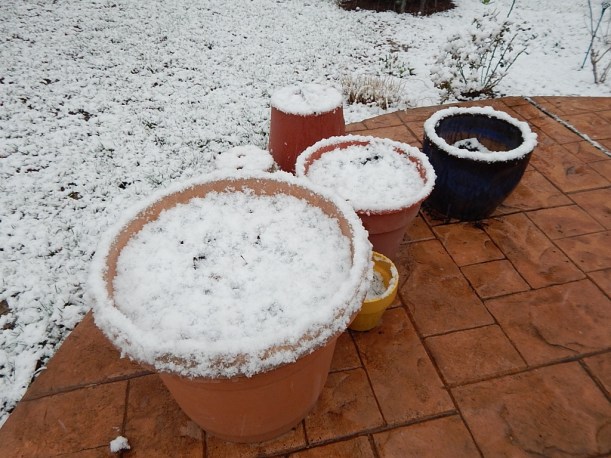 snow pots