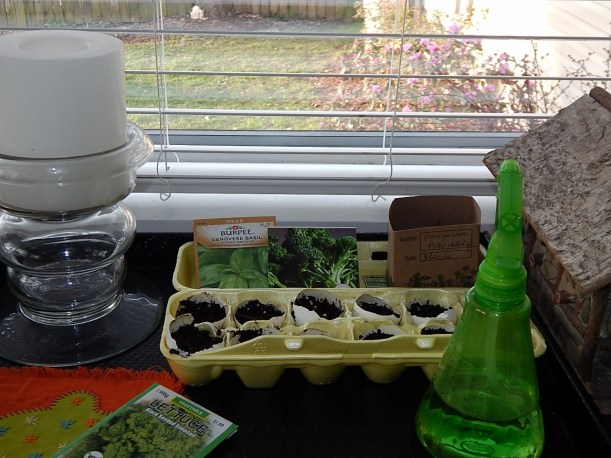 Sunny window (1280x960)