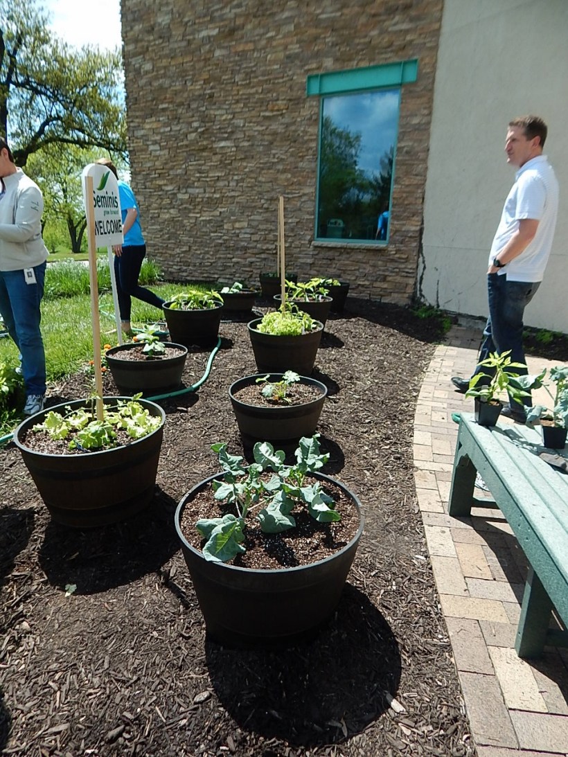 Full serpentine planters (960x1280)
