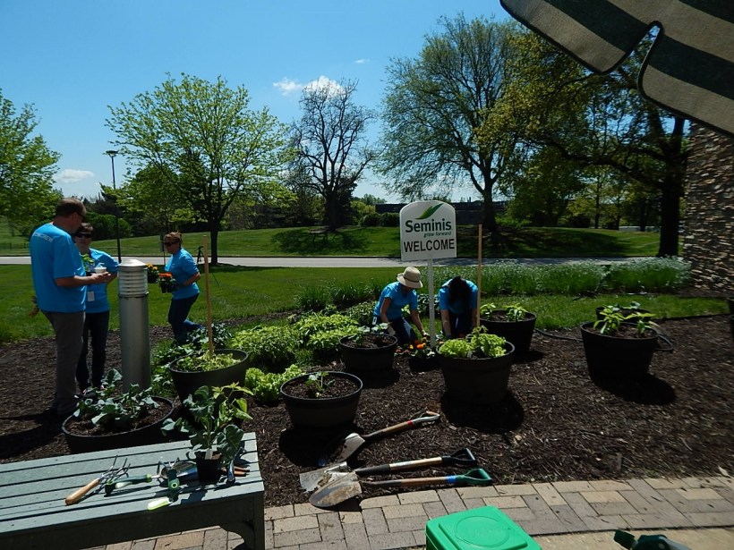 Planting site (1280x960)