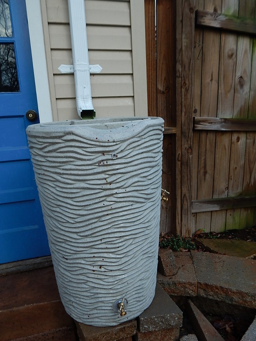 Rain barrel installed (960x1280)