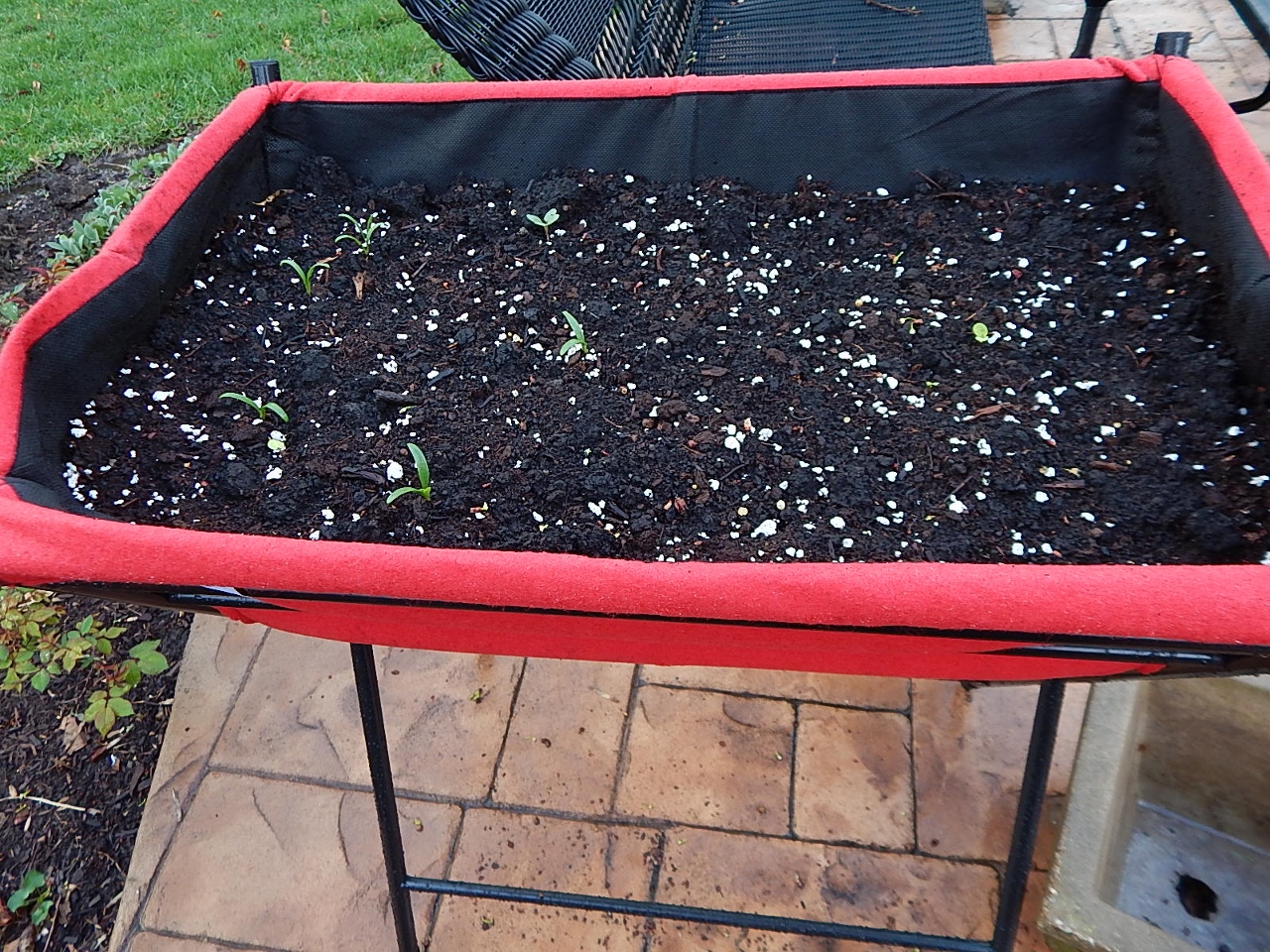 VegTrug April 1 (1280x960)